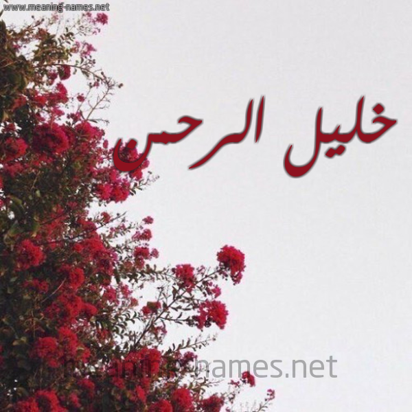 شكل 18 صوره الورد الأحمر للإسم بخط رقعة صورة اسم خليل الرحمن Khlil-Alrhman